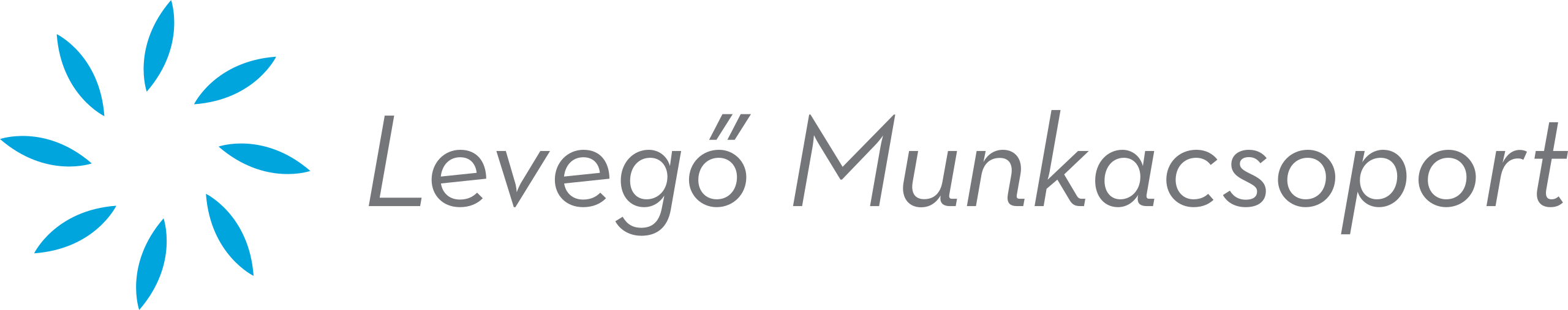 eCipo Logo